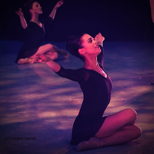 PREMIERES-a Dynamic Selection of New Repertoire