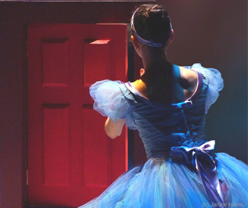 Presenting Wonderland